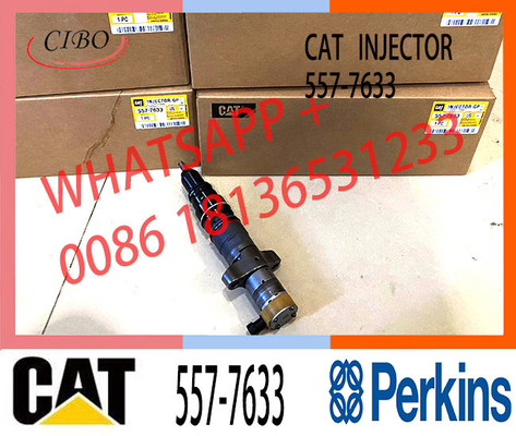 L'injecteur de carburant de moteur de l'injecteur C9 de CAT C7 C9 équipe l'injecteur d'un gicleur de moteur de CAT 557-7633 387-9433 C9 de 10R7224 236-0962